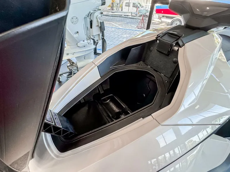 Slide: The Image of Other Orca P2 2025 - 5830966