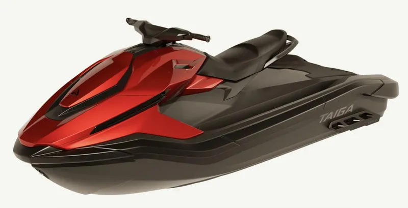 Slide: The Image of Other Orca P2 2025 - 5830968