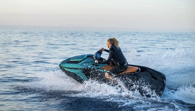 Slide: The Image of Other Orca P2 2025 - 5831403