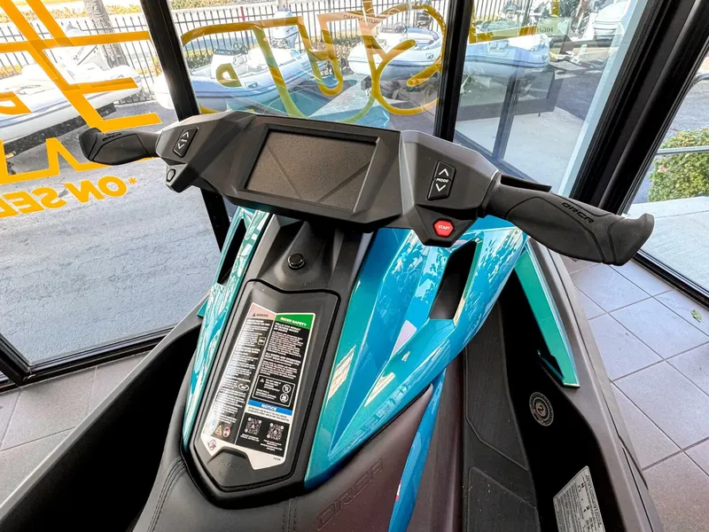 Slide: The Image of Other Orca P2 2025 - 5831395