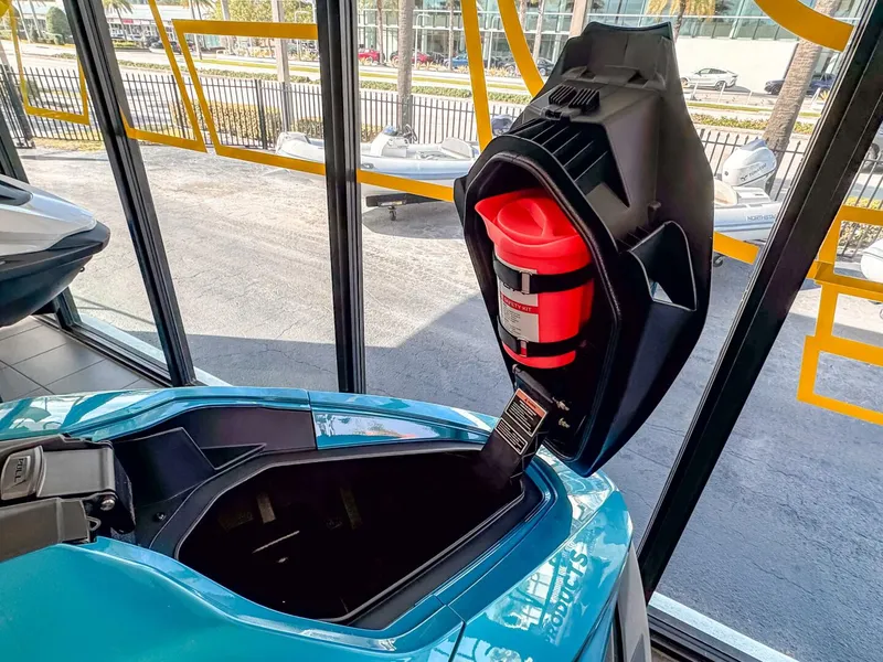 Slide: The Image of Other Orca P2 2025 - 5831397