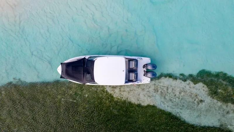 Slide: The Image of Regal LX9 2026 - 5831250