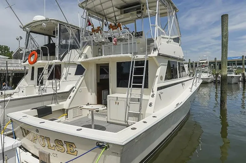 Slide: The Image of Viking Palm Beach 1987 - 5832653