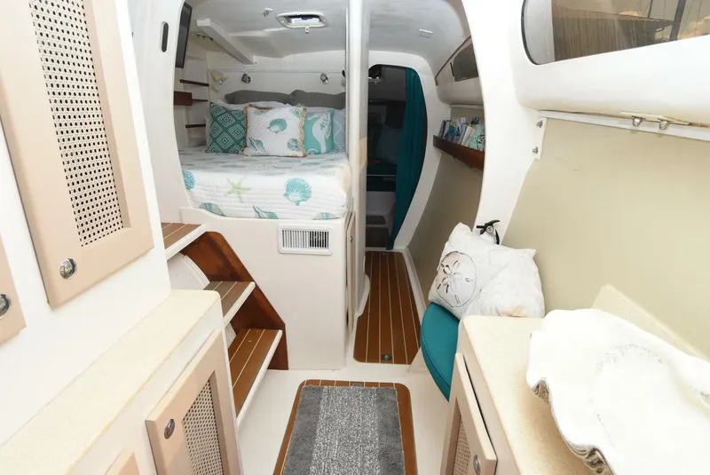 Slide: The Image of Maine Cat MC 41 2015 - 5833498