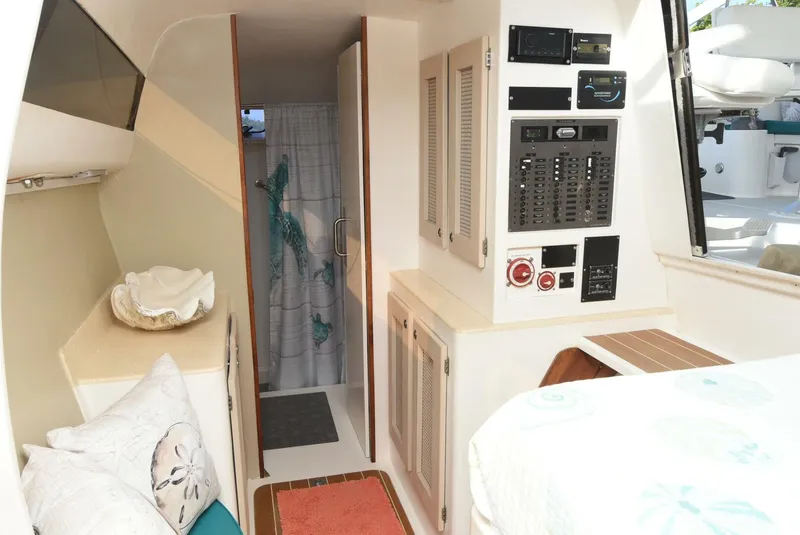 Slide: The Image of Maine Cat MC 41 2015 - 5833485