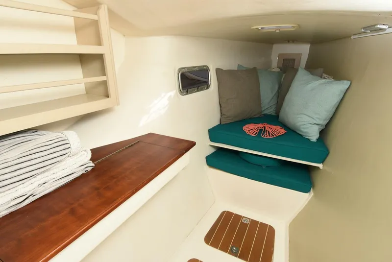 Slide: The Image of Maine Cat MC 41 2015 - 5833500