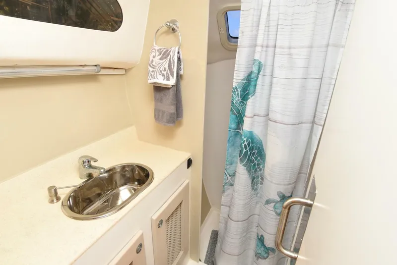 Slide: The Image of Maine Cat MC 41 2015 - 5833497