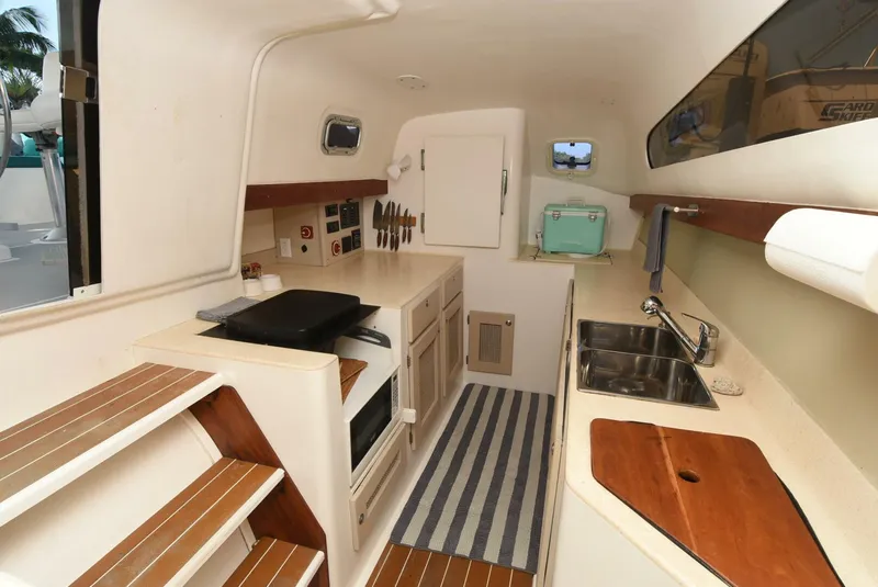 Slide: The Image of Maine Cat MC 41 2015 - 5833487