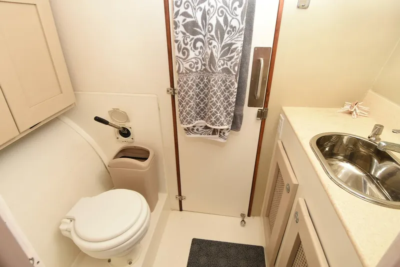 Slide: The Image of Maine Cat MC 41 2015 - 5833496