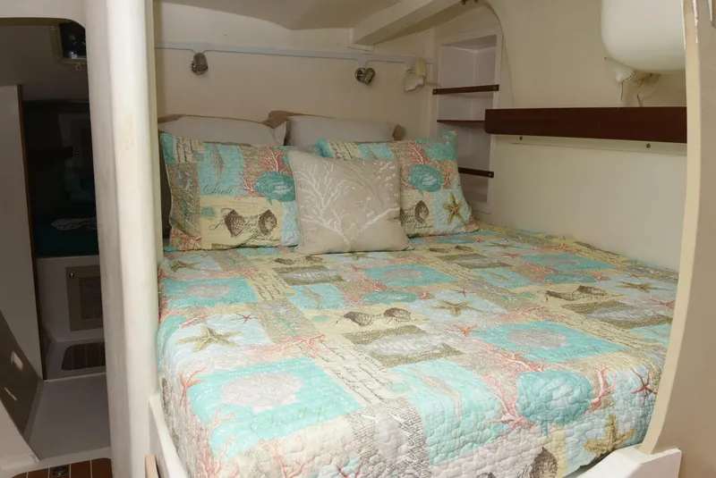 Slide: The Image of Maine Cat MC 41 2015 - 5833489