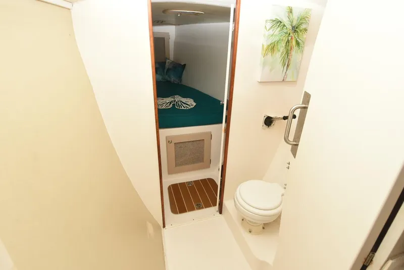 Slide: The Image of Maine Cat MC 41 2015 - 5833491