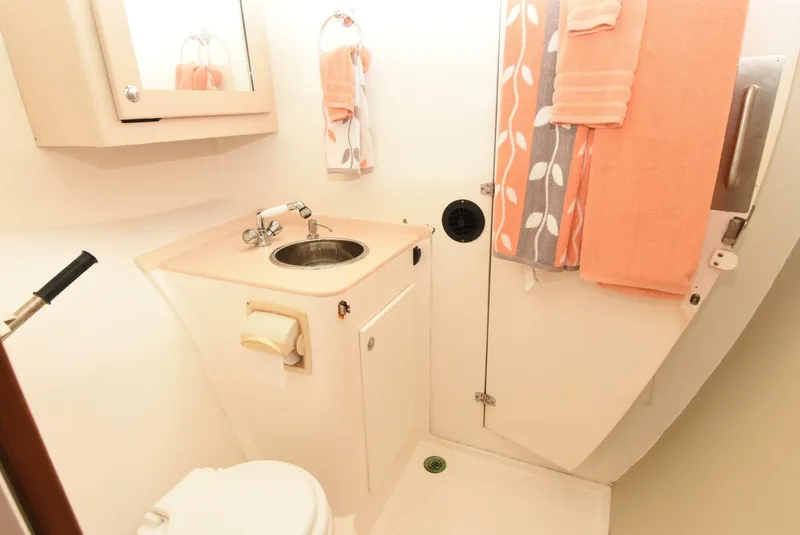 Slide: The Image of Maine Cat MC 41 2015 - 5833492