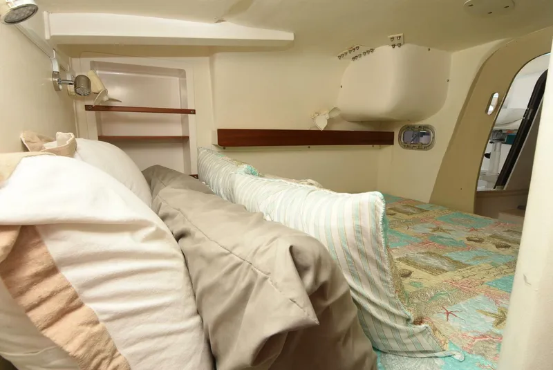 Slide: The Image of Maine Cat MC 41 2015 - 5833494