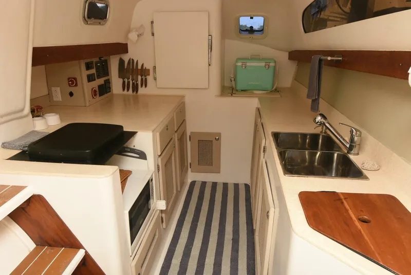 Slide: The Image of Maine Cat MC 41 2015 - 5833495