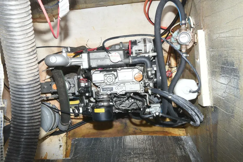 Slide: The Image of Maine Cat MC 41 2015 - 5833504