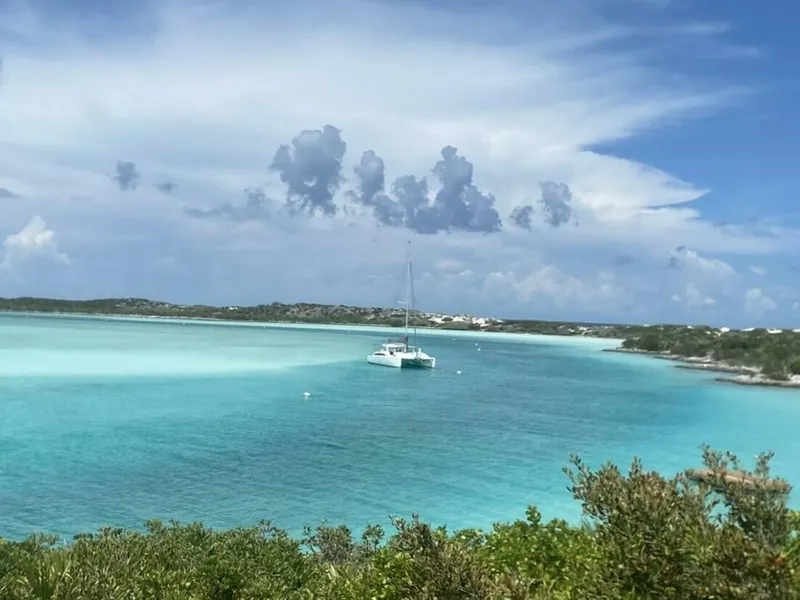 Slide: The Image of Maine Cat MC 41 2015 - 5833560