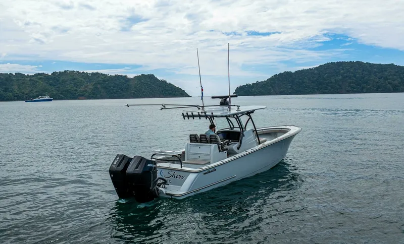 Slide: The Image of 2024 Valhalla Boatworks V-33 "Shit Show" - 6102767