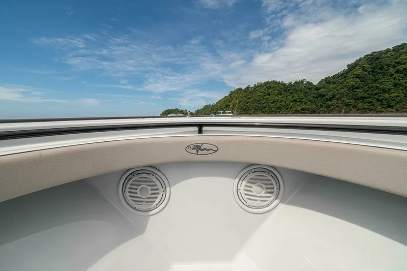 Slide: The Image of 2024 Valhalla Boatworks V-33 "Shit Show" - 6102738