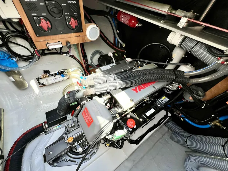 Slide: The Image of Excess 14 2023 - 5839236