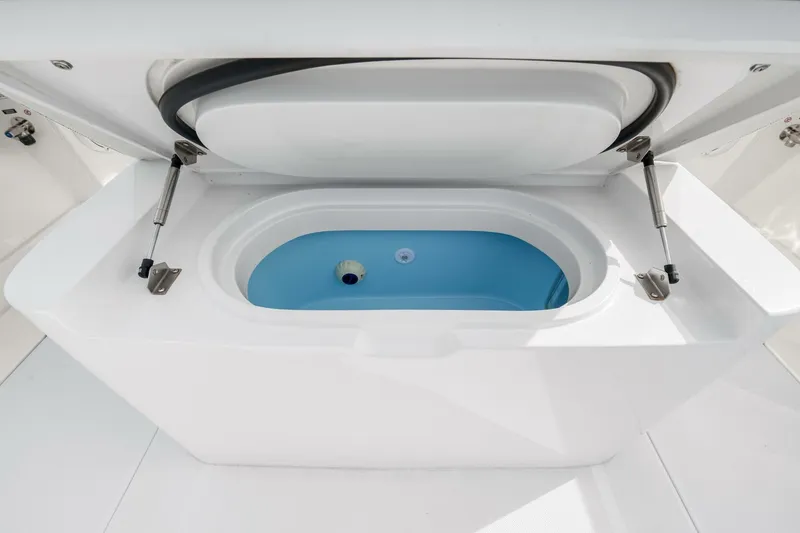 Slide: The Image of Jupiter 34 HFS 2025 - 5840158