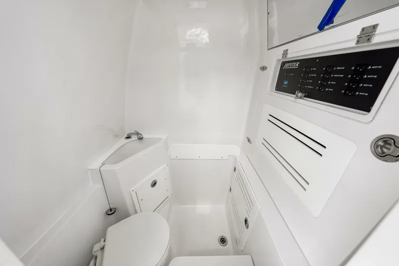 Slide: The Image of Jupiter 34 HFS 2025 - 5840169