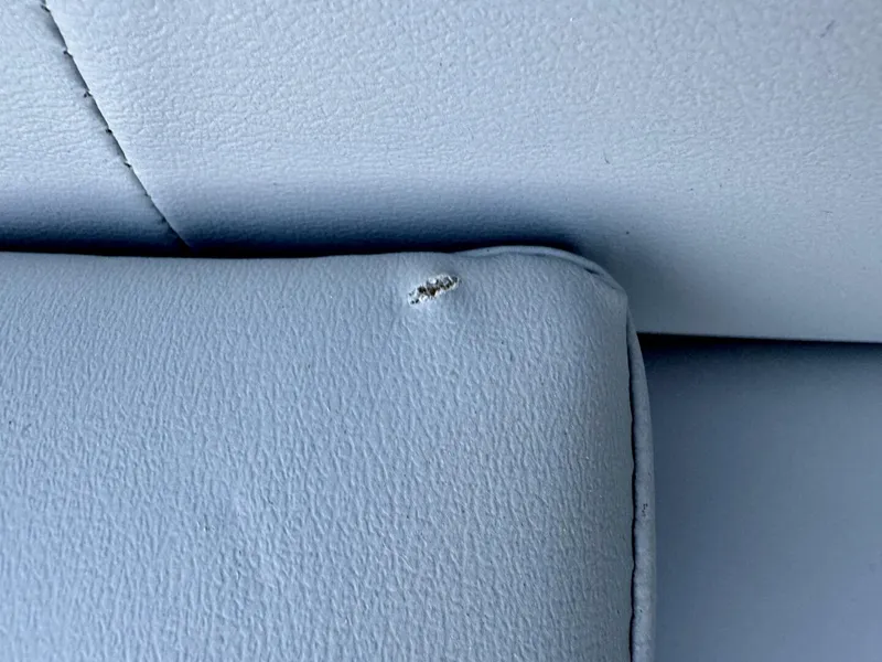 Slide: The Image of Veranda Vertex VTX 22R TritoonFL 2023 - 5844231