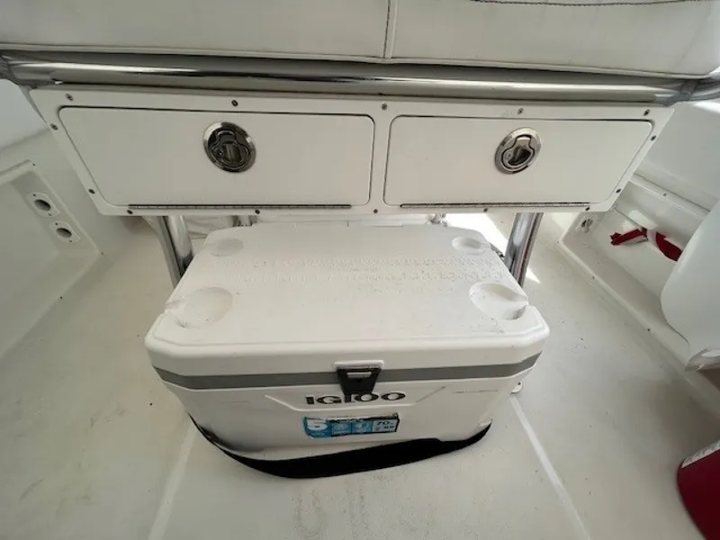 Slide: The Image of Savannah 22 2024 - 6016088