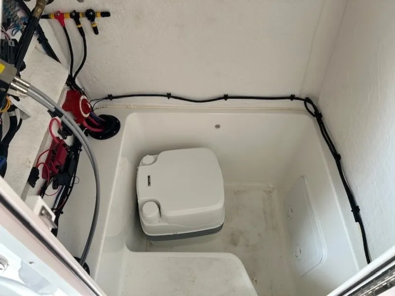 Slide: The Image of Savannah 22 2024 - 6016090