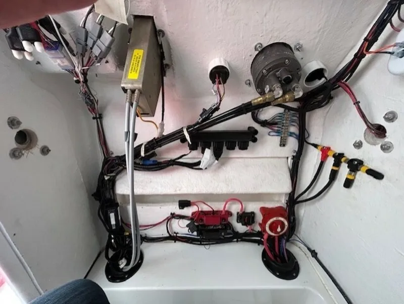 Slide: The Image of Savannah 22 2024 - 6016091