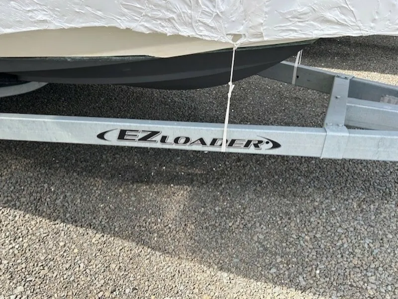 Slide: The Image of Savannah 22 2024 - 6016086