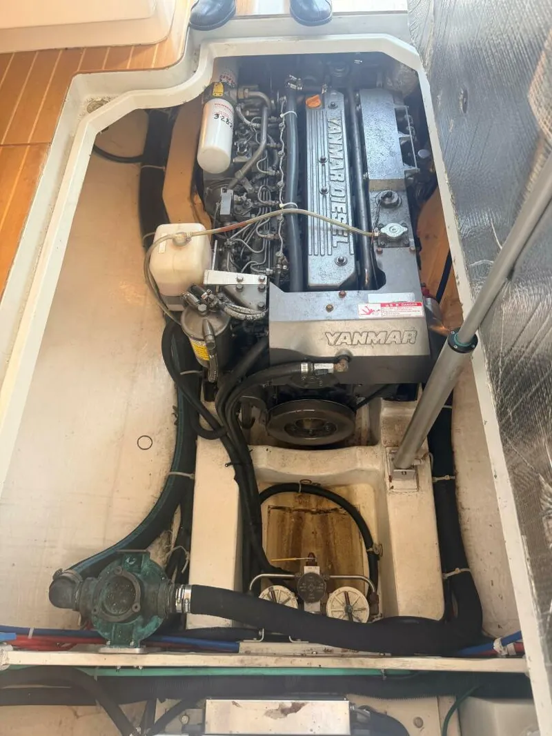 Slide: The Image of True North 38 Heritage Edition 2006 - 5984219