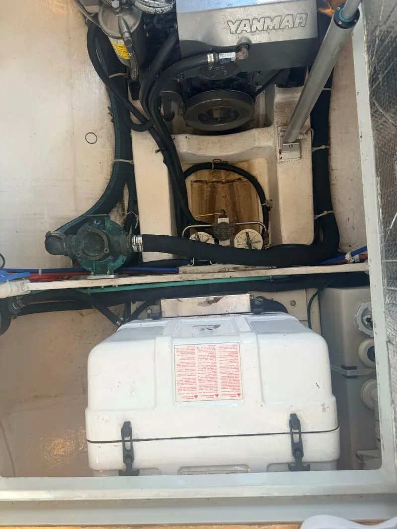 Slide: The Image of True North 38 Heritage Edition 2006 - 5984221