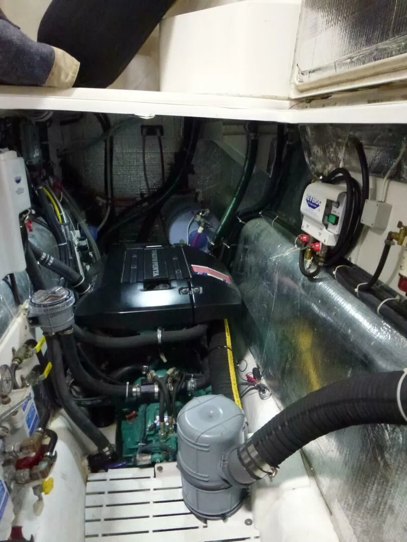 Slide: The Image of Maine Cat P-47 2009 - 5859589