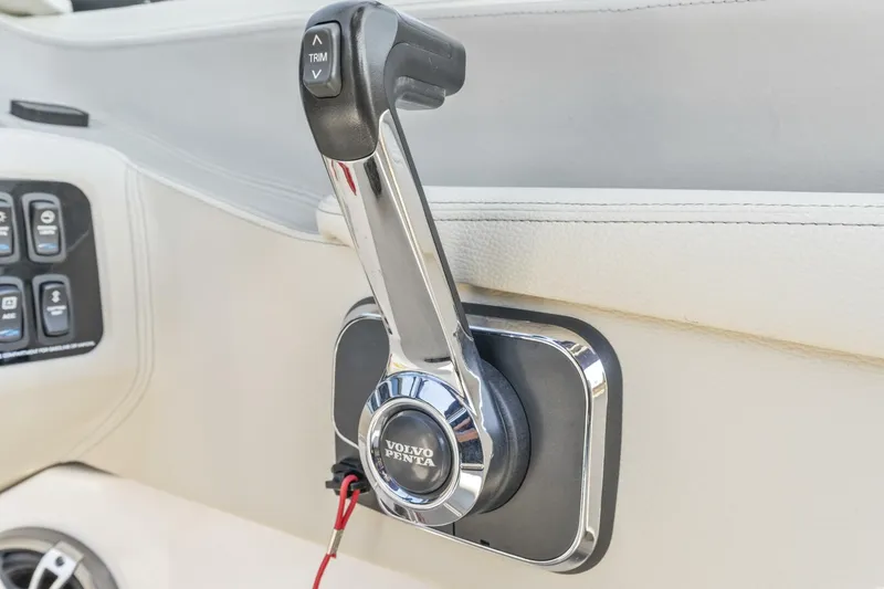 Slide: The Image of Regal LS4 2024 - 5847459