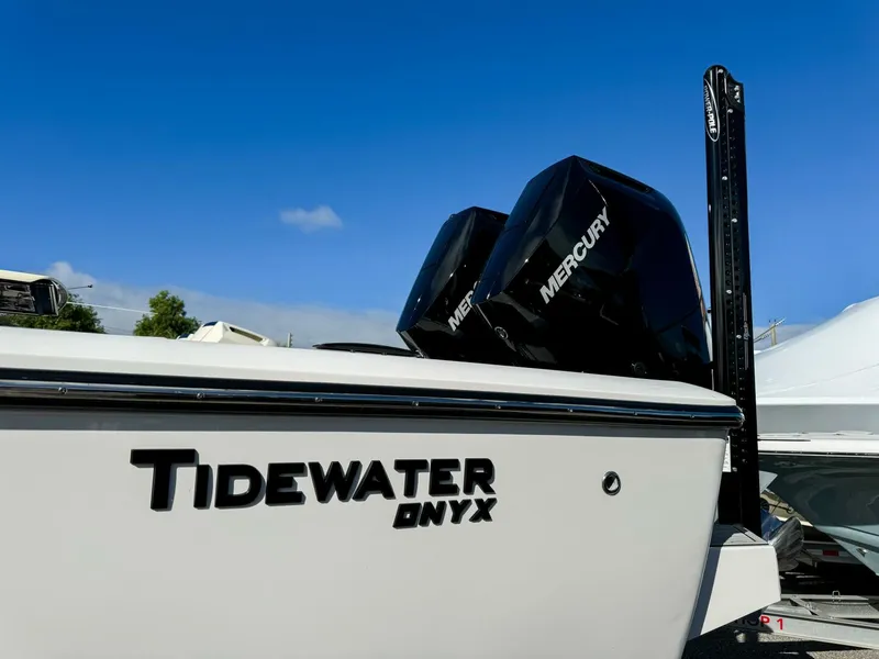 Slide: The Image of Tidewater Carolina Bay 2026 - 5849235