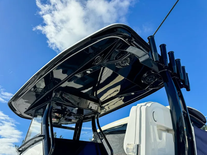 Slide: The Image of Tidewater Carolina Bay 2026 - 5849247