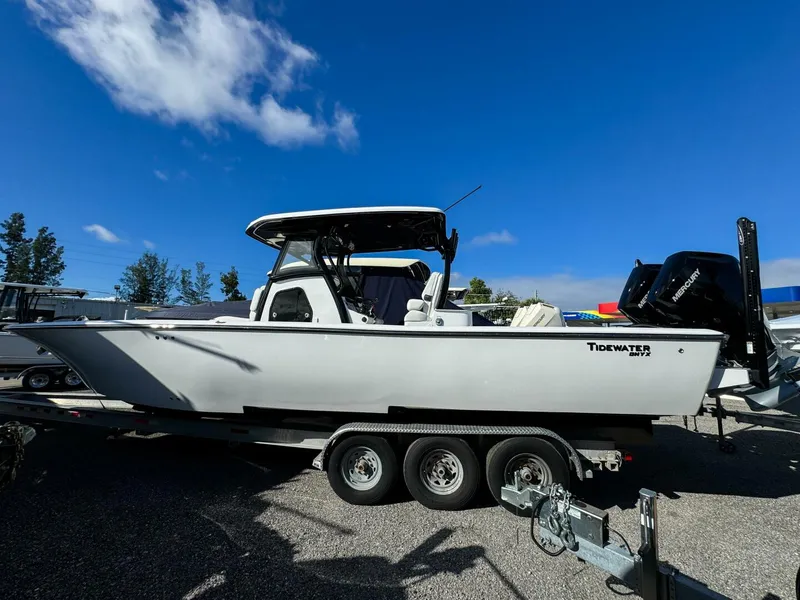 Slide: The Image of Tidewater Carolina Bay 2026 - 5849234