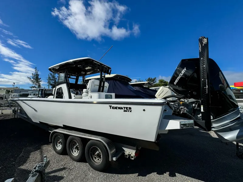 Slide: The Image of Tidewater Carolina Bay 2026 - 5849236