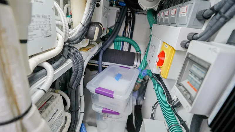 Slide: The Image of Princess F55 2022 - 5850040