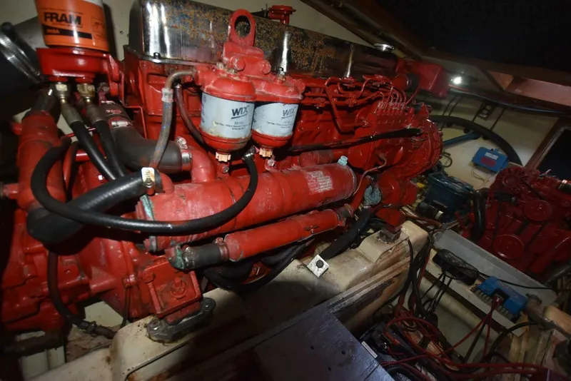 Slide: The Image of Albin 43 1985 - 5852158