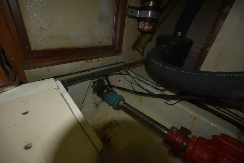 Slide: The Image of Albin 43 1985 - 5852162