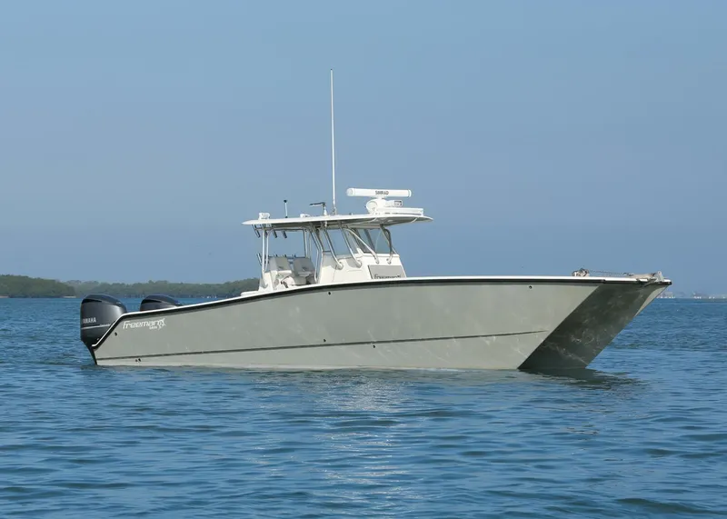 Slide: The Image of Freeman 34VH 2015 - 5851501