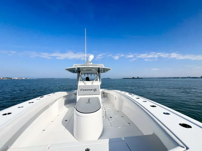 Slide: The Image of Freeman 34VH 2015 - 5851516