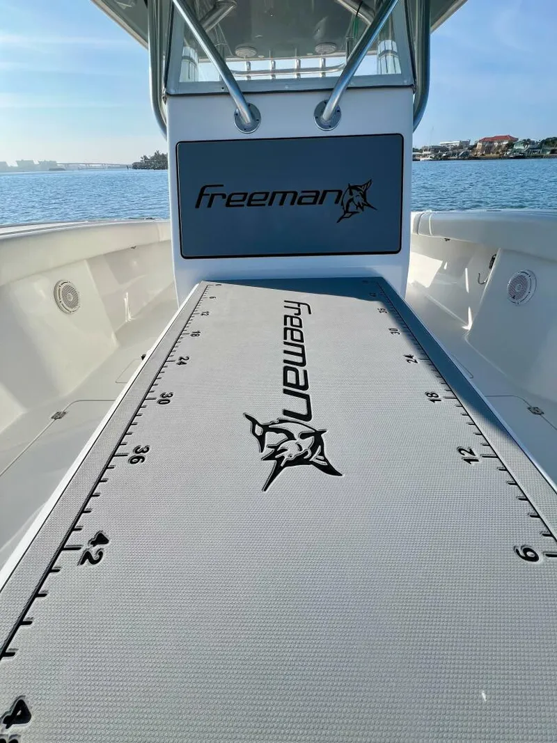 Slide: The Image of Freeman 34VH 2015 - 5851508