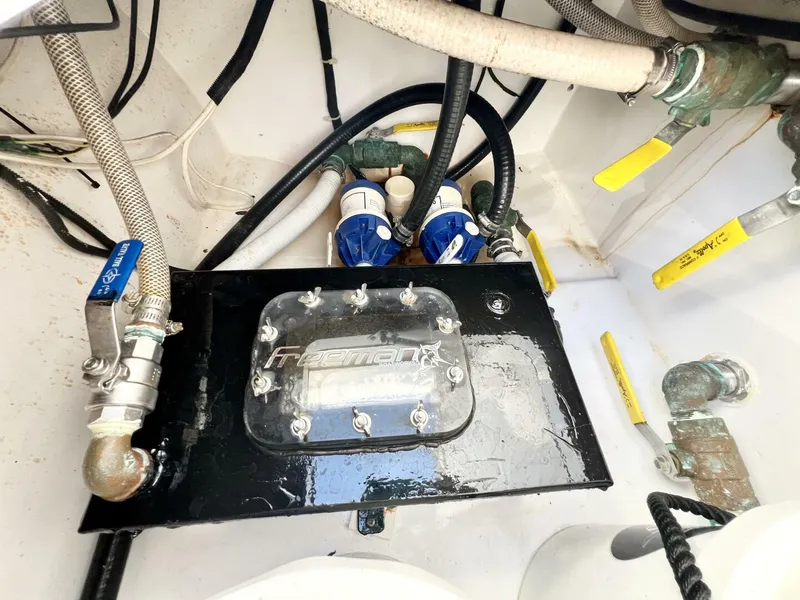 Slide: The Image of Freeman 34VH 2015 - 5851527