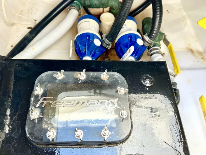 Slide: The Image of Freeman 34VH 2015 - 5851528