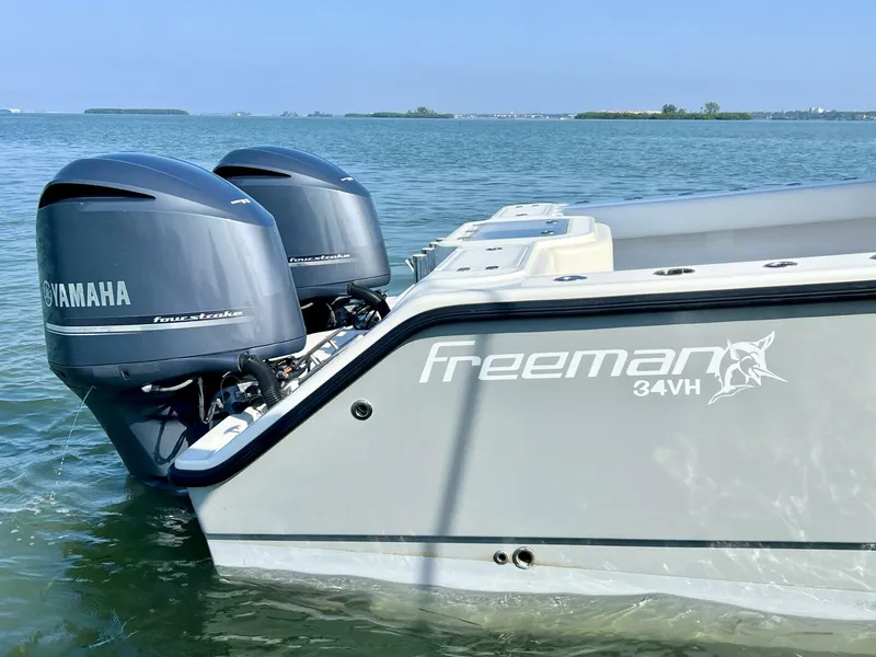 Slide: The Image of Freeman 34VH 2015 - 5851540