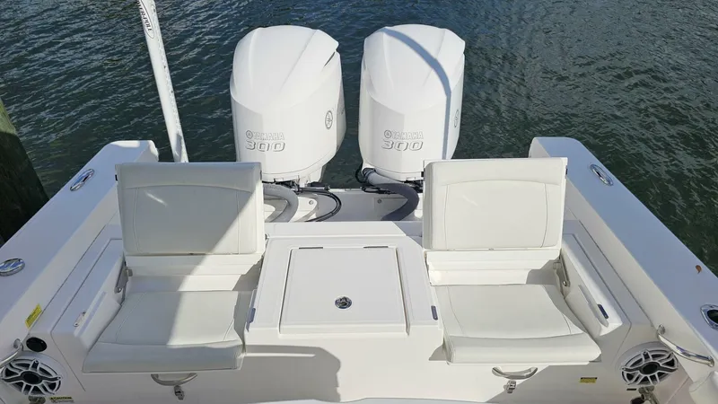 Slide: The Image of Everglades 273CC 2021 - 5854373