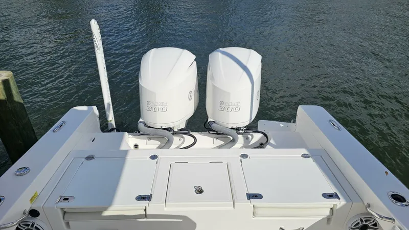 Slide: The Image of Everglades 273CC 2021 - 5854418