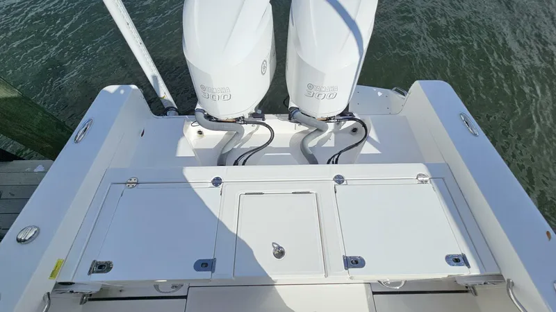 Slide: The Image of Everglades 273CC 2021 - 5854419